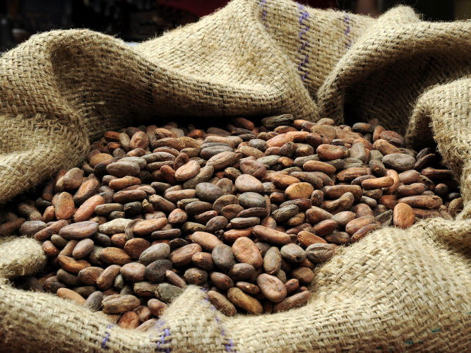 Какао-порошок алкализованный Gerkens Cacao GHR, 25 кг.