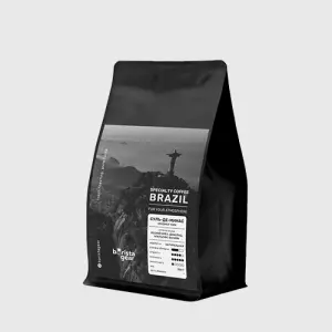 Кофе в зернах Barista Gear Бразилия Суль-де-Минас 250 г