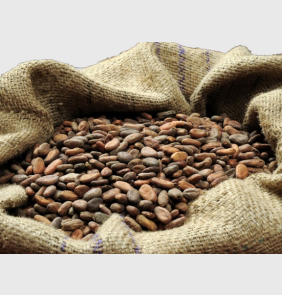 Какао-порошок алкализованный Gerkens Cacao GHR, 25 кг.